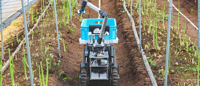 自動野菜収穫ロボットのイメージ