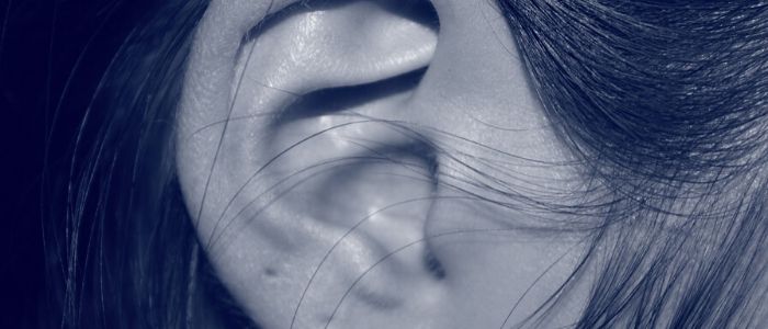 耳介認証のイメージ